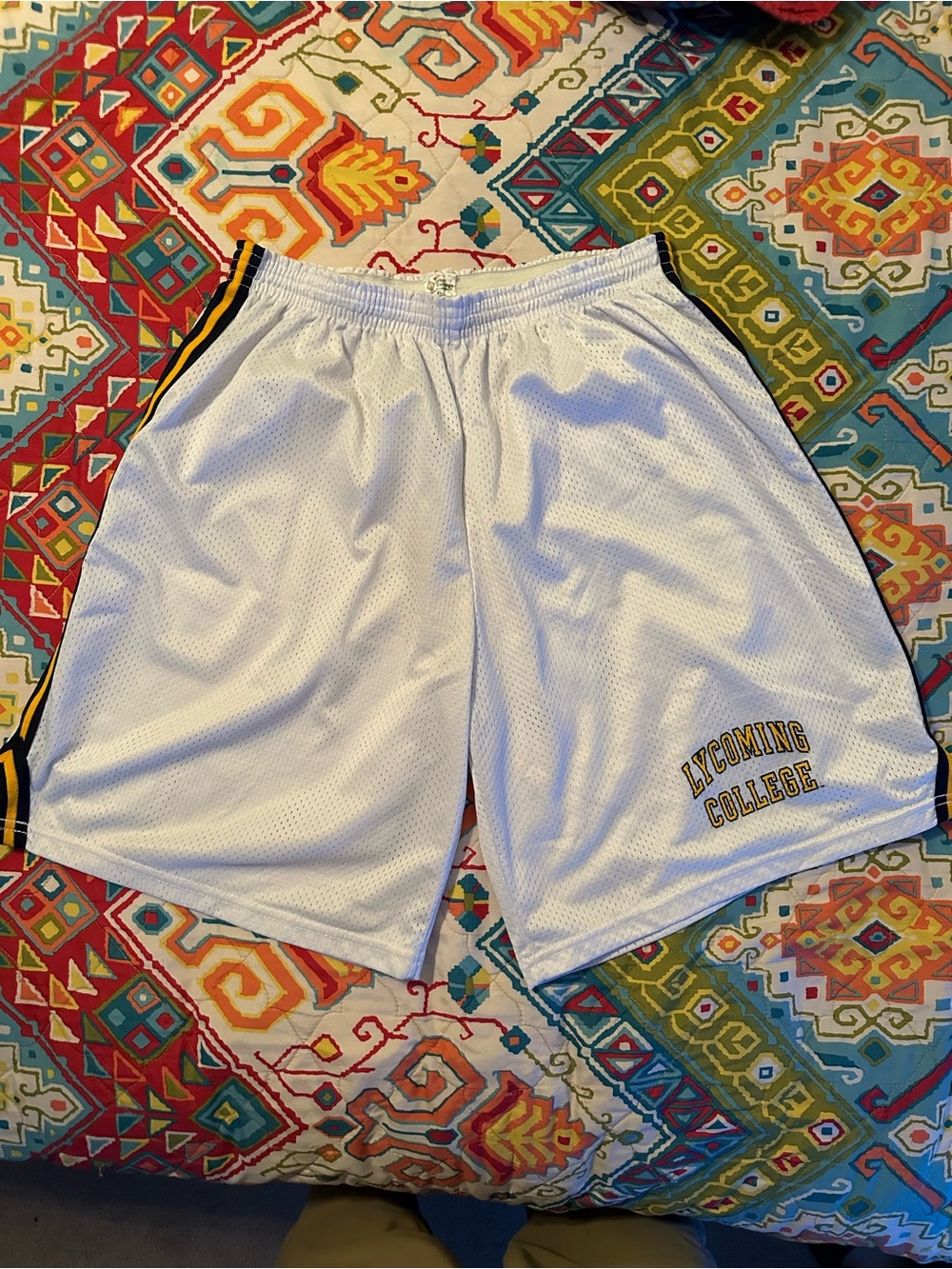 Lycoming College White Athletic Mesh Shorts